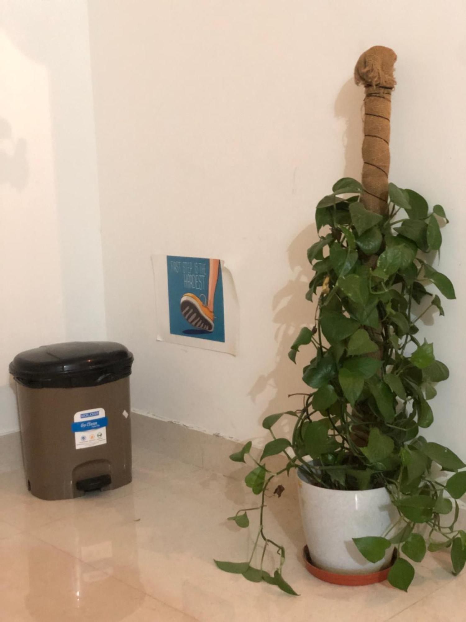 Appartamento Sapthagiri Nest Chikmagalūr Esterno foto